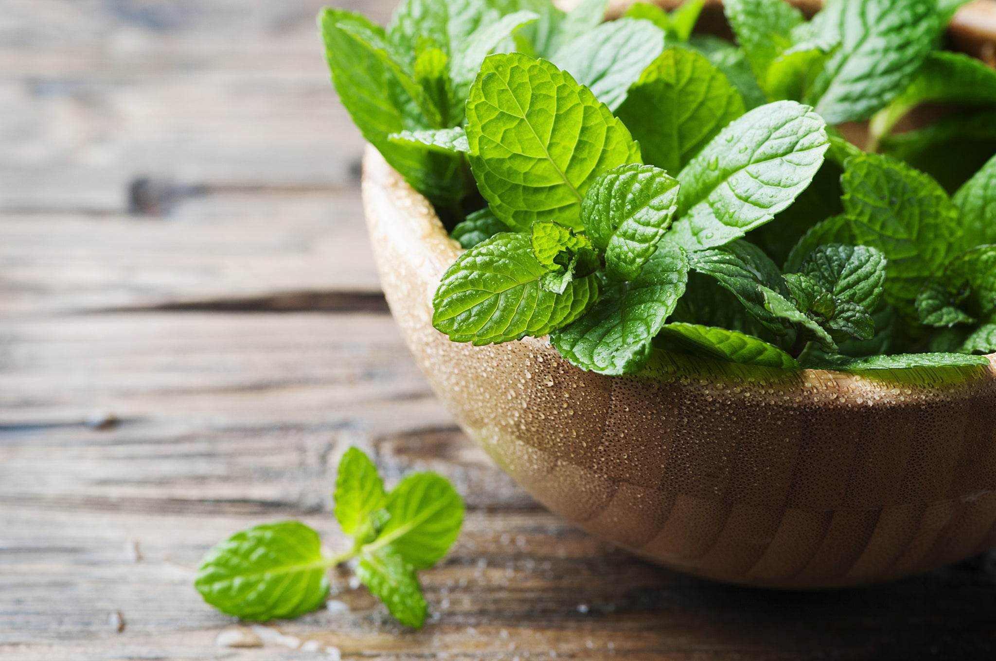 6 Beneficios Que Debes Conocer de la Menta